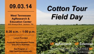 2014 University of Tennessee Cotton Tour - UT Crops News