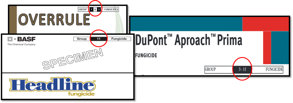 The FRAC group or code can usually be found in the upper corner of a fungicide label, circled in red on images. 