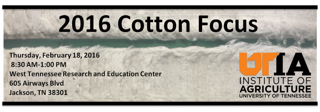 Cotton_Focus2016