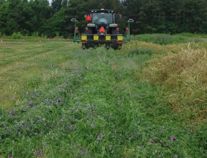 Planting Soybeans in Green Cover