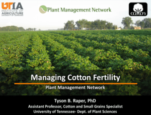 Cotton growth stages and water requirements - UT Crops News