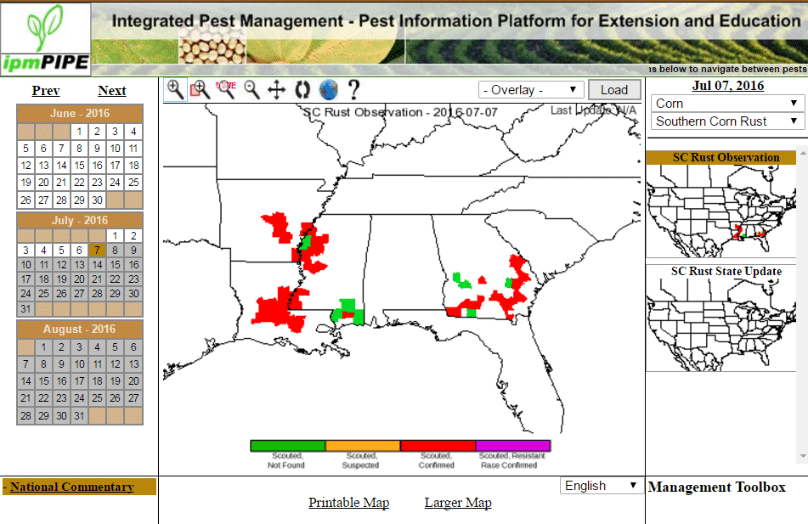 Screen shot from http://scr.ipmpipe.org showing reports of southern rust as of July 7, 2016