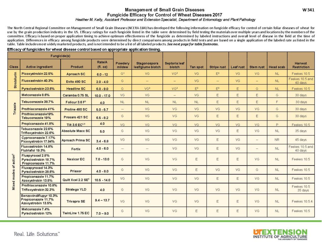 Wheat Disease Update - April 13, 2017 - UT Crops News