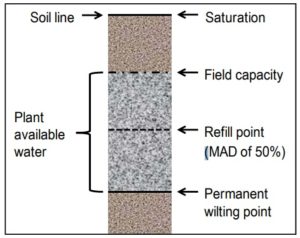 http://www.aganytime.com/Documents/ArticlePDFs/Irrigation%20Scheduling%20for%20Soybean%20-%20Asgrow.pdf