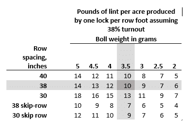 String-out, fall out, and estimating yield loss in cotton - UT