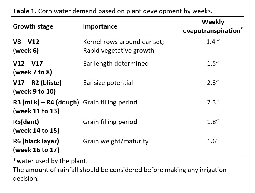 Cotton growth stages and water requirements - UT Crops News