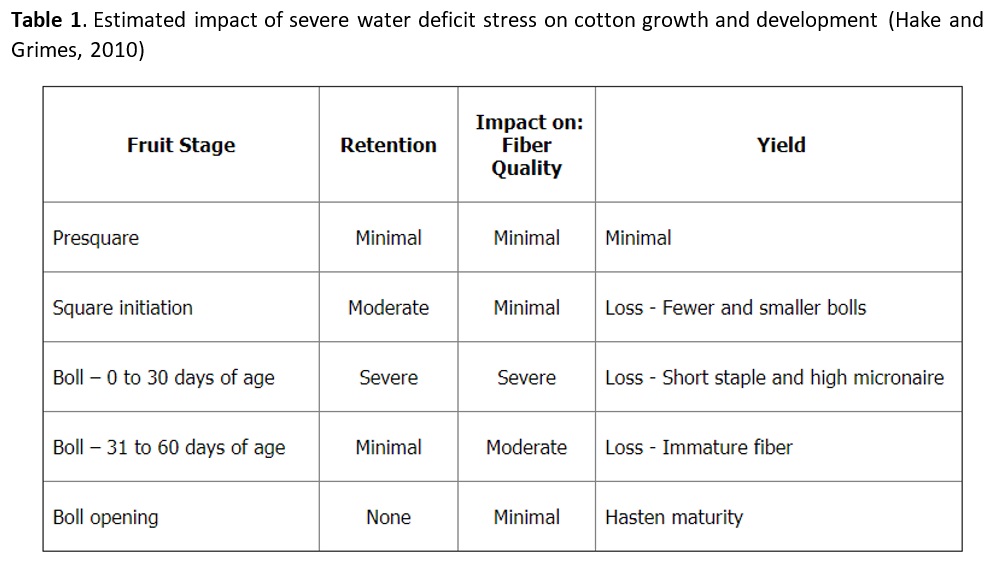 cotton plant growth stages