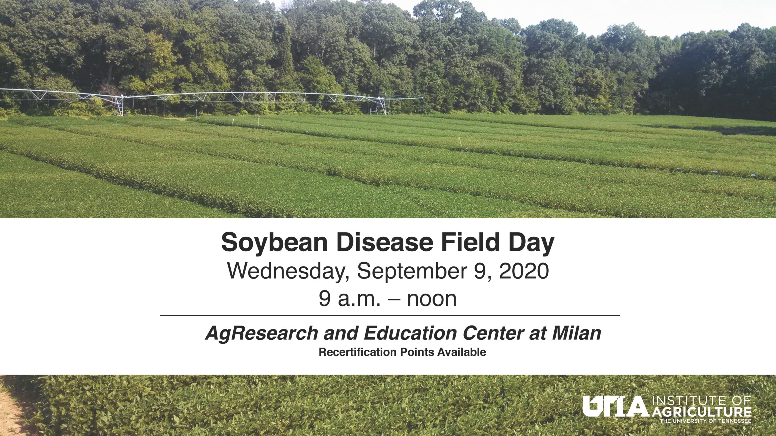 Soybean Disease Field Day 2020 - UT Crops News