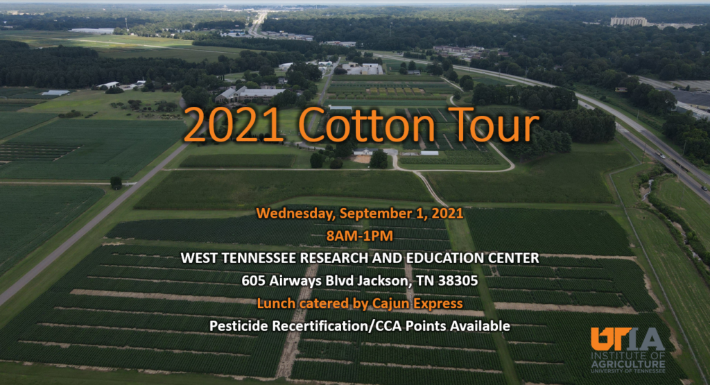 ut cotton tour