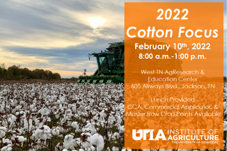 Cotton Focus coming up February 10th UT Crops News