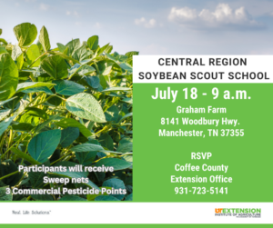 Middle Tennessee Soybean Scout School