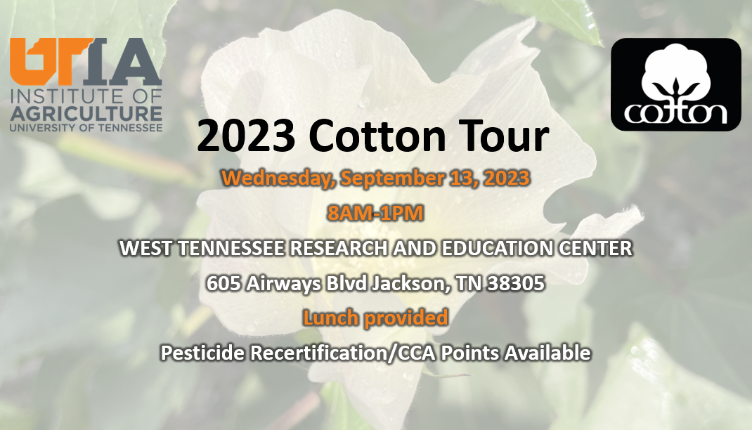 ut cotton tour