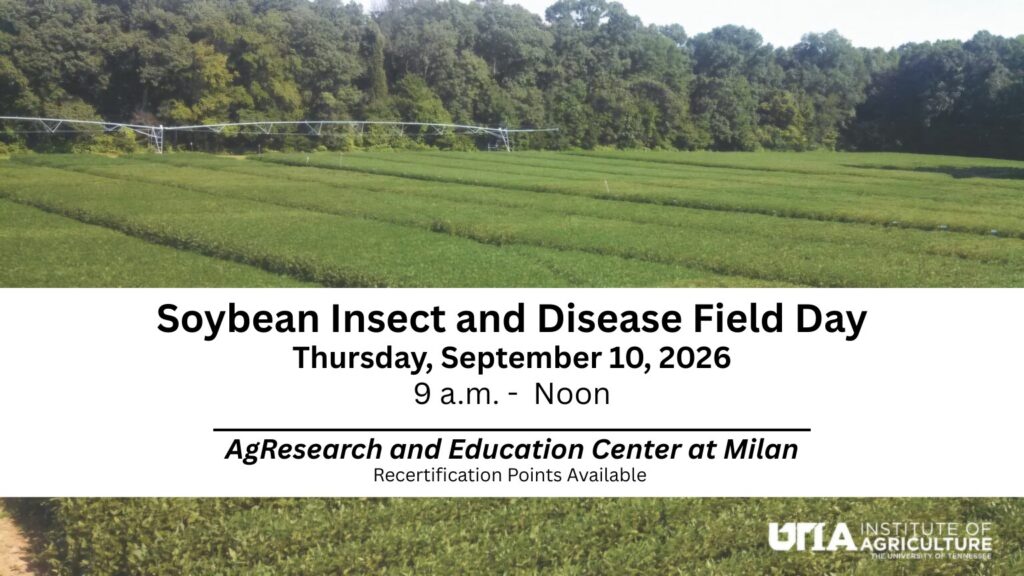 Soybean research plots in background, with text reading, "Soybean Insect and Disease Field Day, Thursday, September 10, 2026, 9 a.m. to noon. AgResearch and Education Center at Milan. Recertification Points Available.